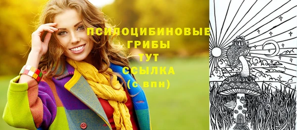 мефедрон Гусиноозёрск