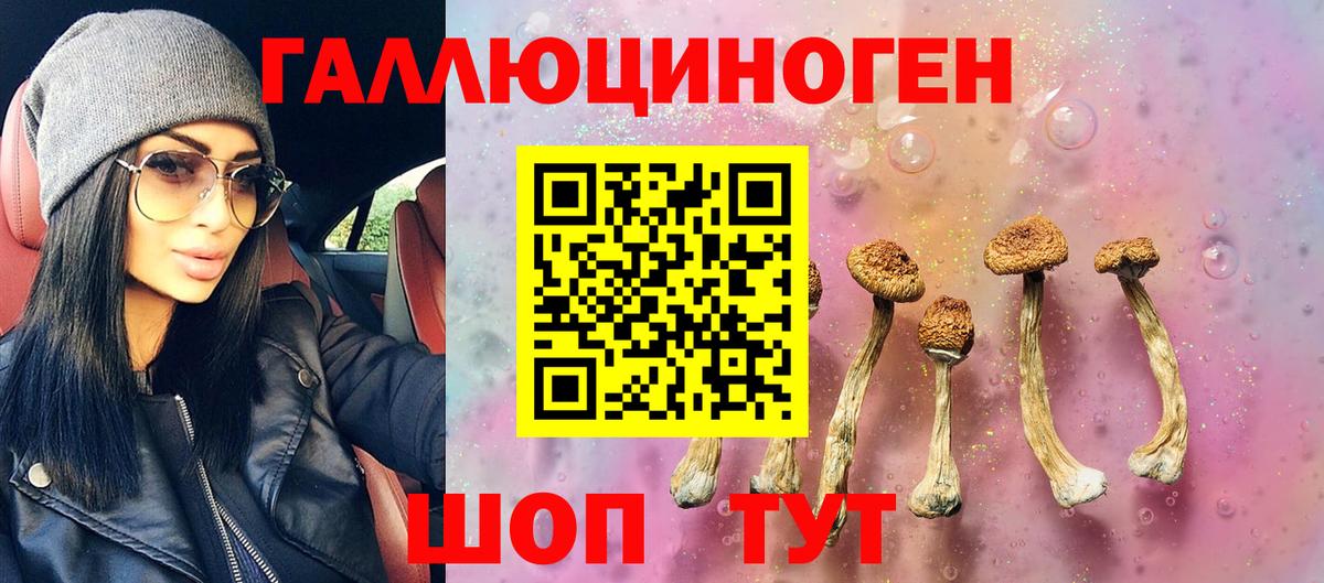 Галлюциногенные грибы GOLDEN TEACHER Назарово