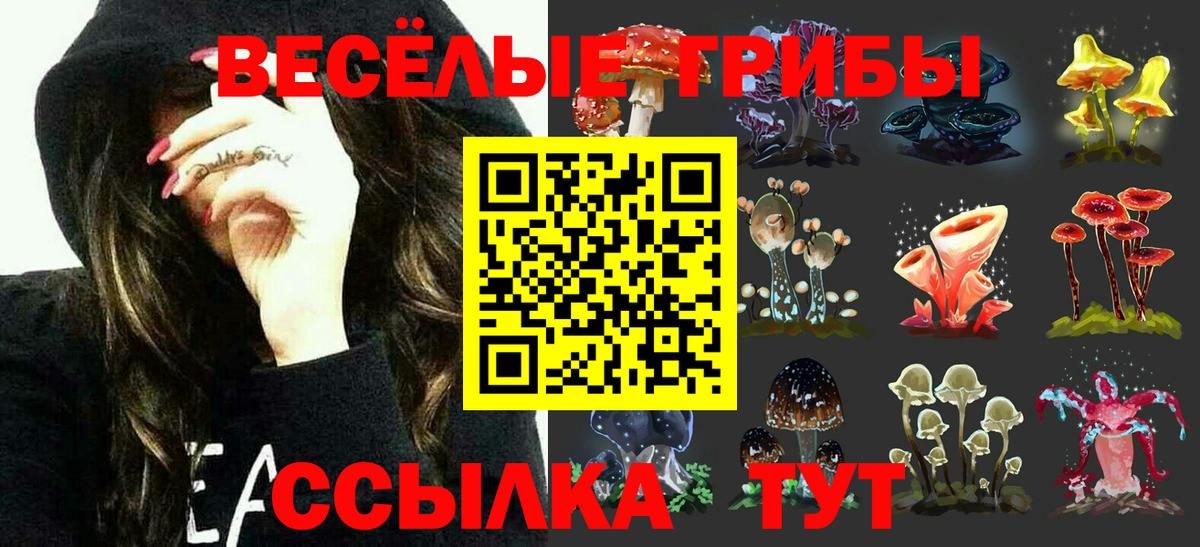 Кокаин  Назарово  ГАШ  ЭКСТАЗИ  Гашиш  Конопля  Героин  Меф кристаллы  МЕФ   A PVP СОЛЬ  