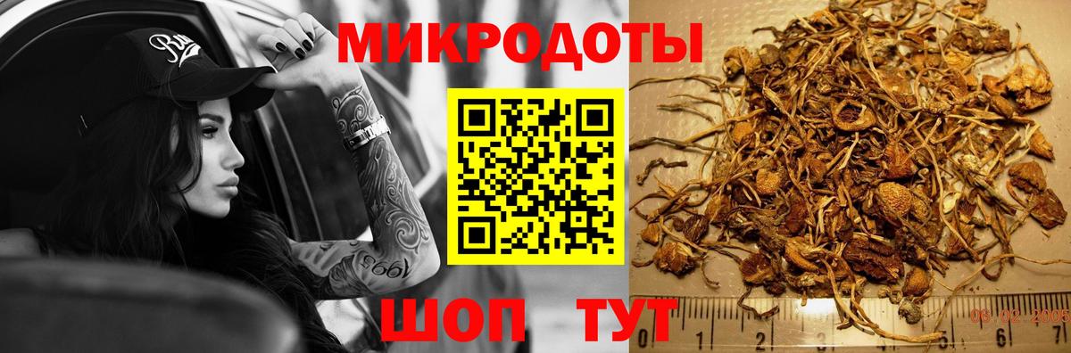 Назарово  Псилоцибиновые грибы мухоморы  Вход с VPN 