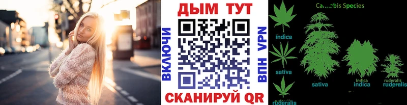 мориарти как зайти  Назарово  Каннабис планчик 